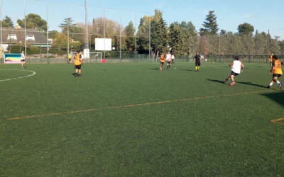 Jornada 5