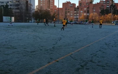 Jornada 7