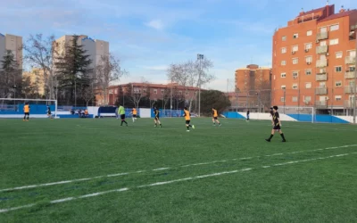 Jornada 12