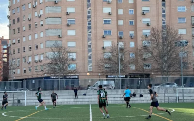 Jornada 14